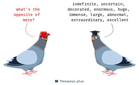 antonyms for mere.